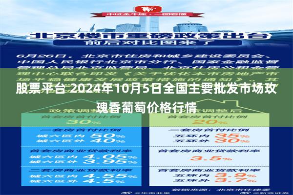 股票平台 2024年10月5日全国主要批发市场玫瑰香葡萄价格行情